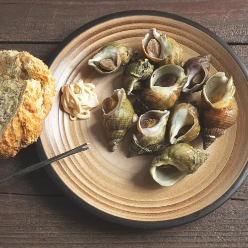 Bulots dans une assiette avec une tranche de pain