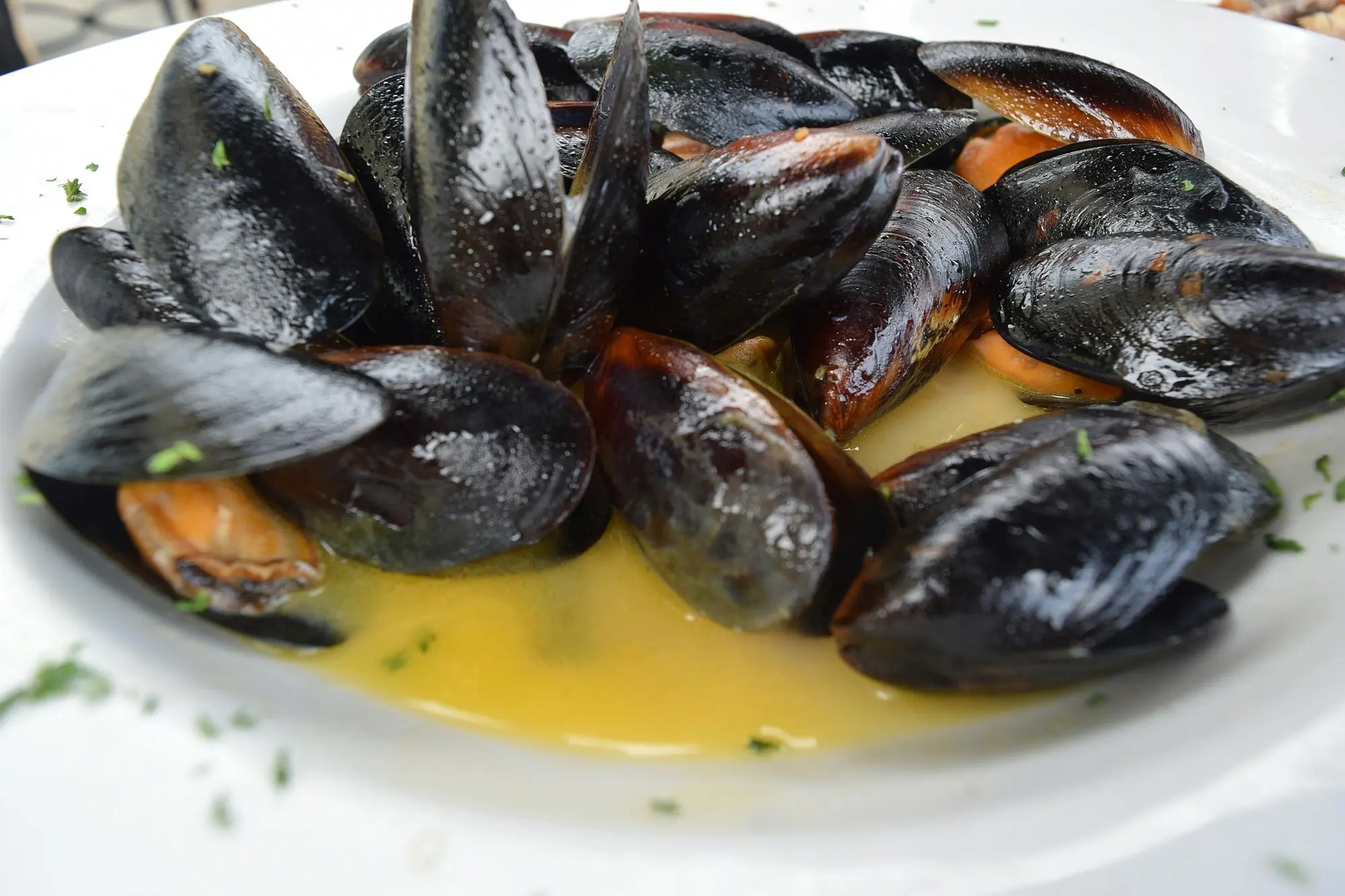 Moule Au Roquefort Cookeo