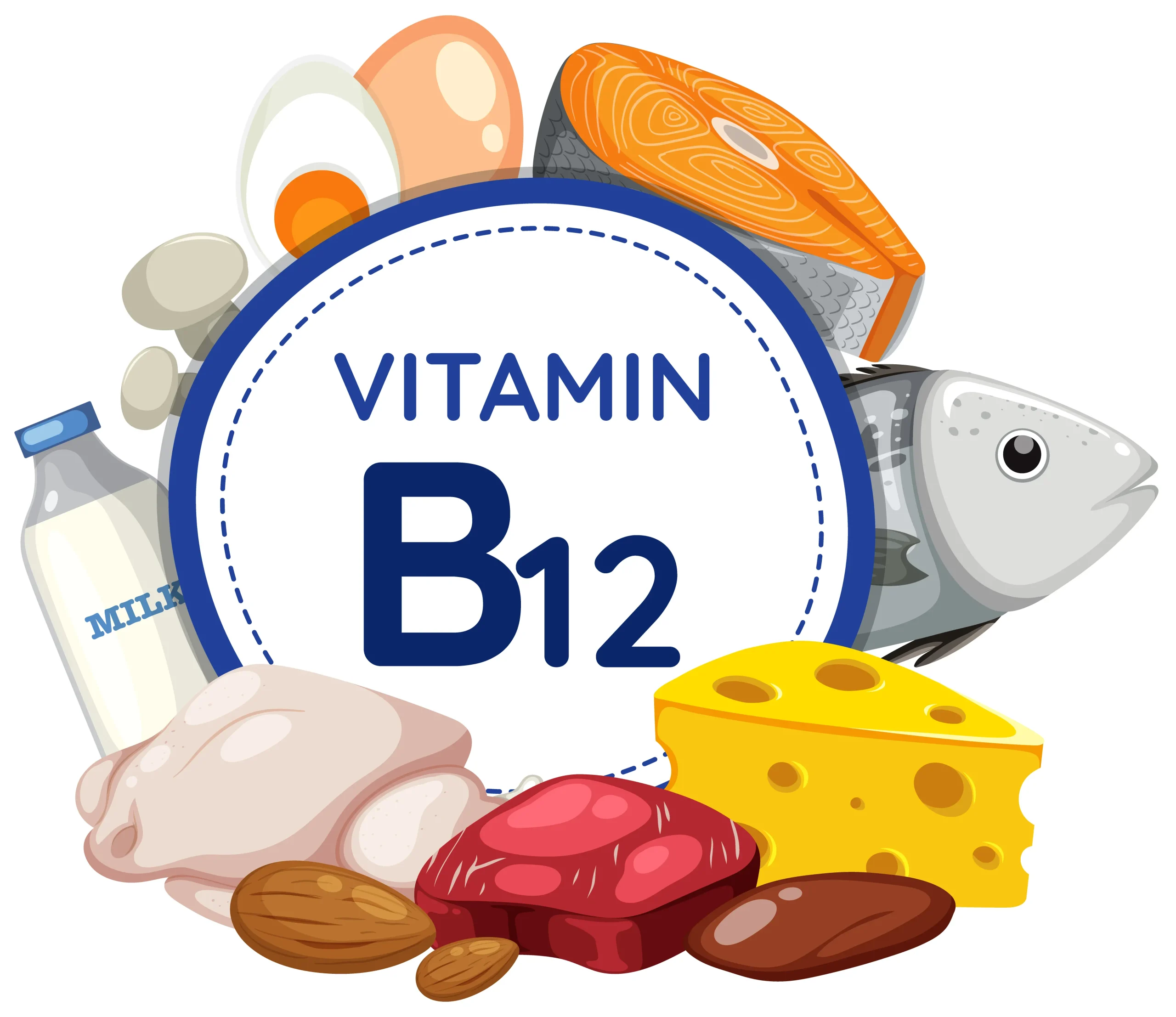 aliment b12