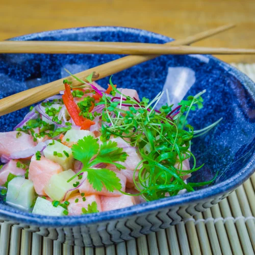 Assiette de ceviche de flétan avec des dés de concombre